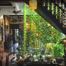 Locahauz Café 